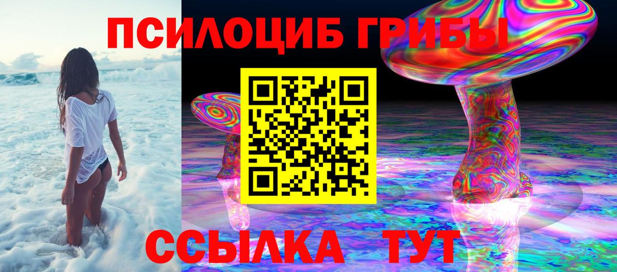 купить наркотик  Вход с VPN  Куйбышев  Псилоцибиновые грибы мухоморы 