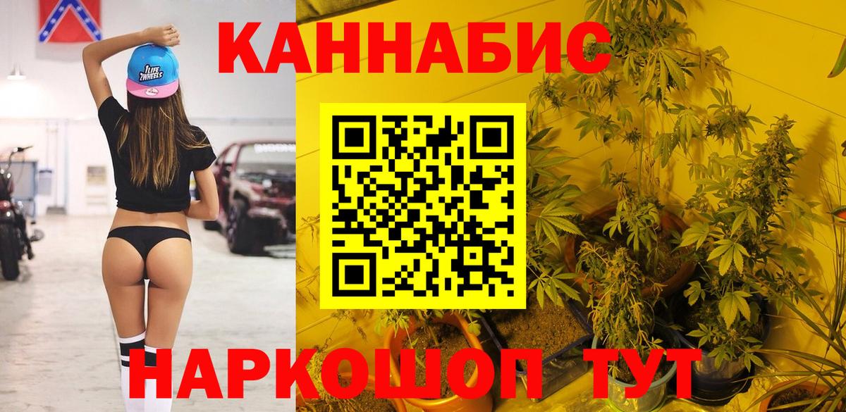 Канабис сатива Куйбышев